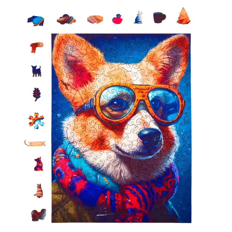 Colin, a corgi fa puzzle