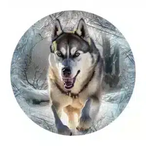 farkas futás fa puzzle