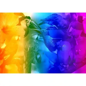 madarak paradicsoma fa puzzle