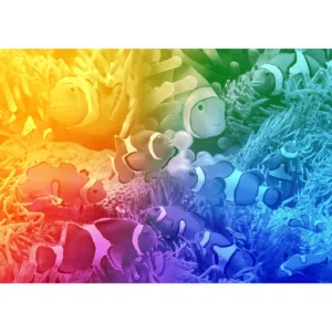 tróousi halak fa puzzle