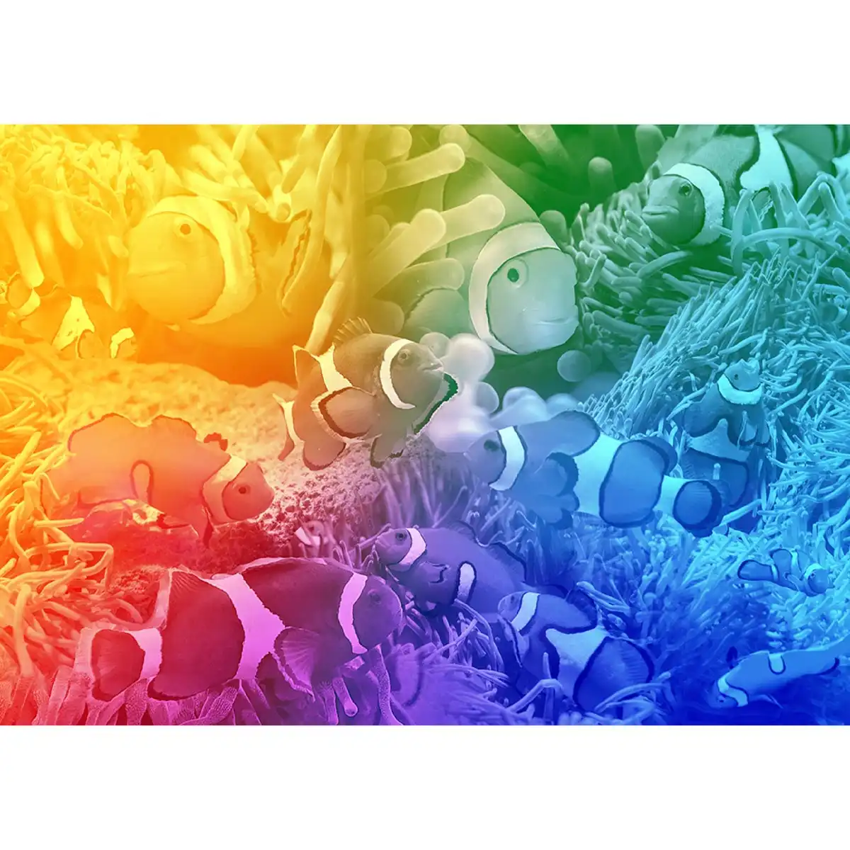 tróousi halak fa puzzle