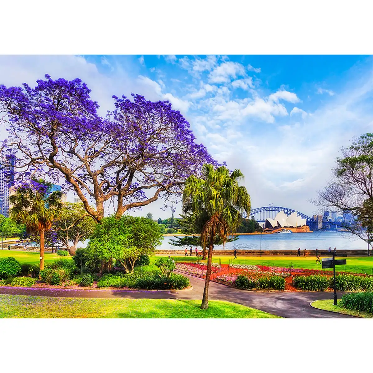 Sydney tavasszal fa puzzle